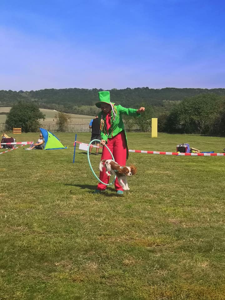 70452932_10206549207725783_3881316891188264960_n